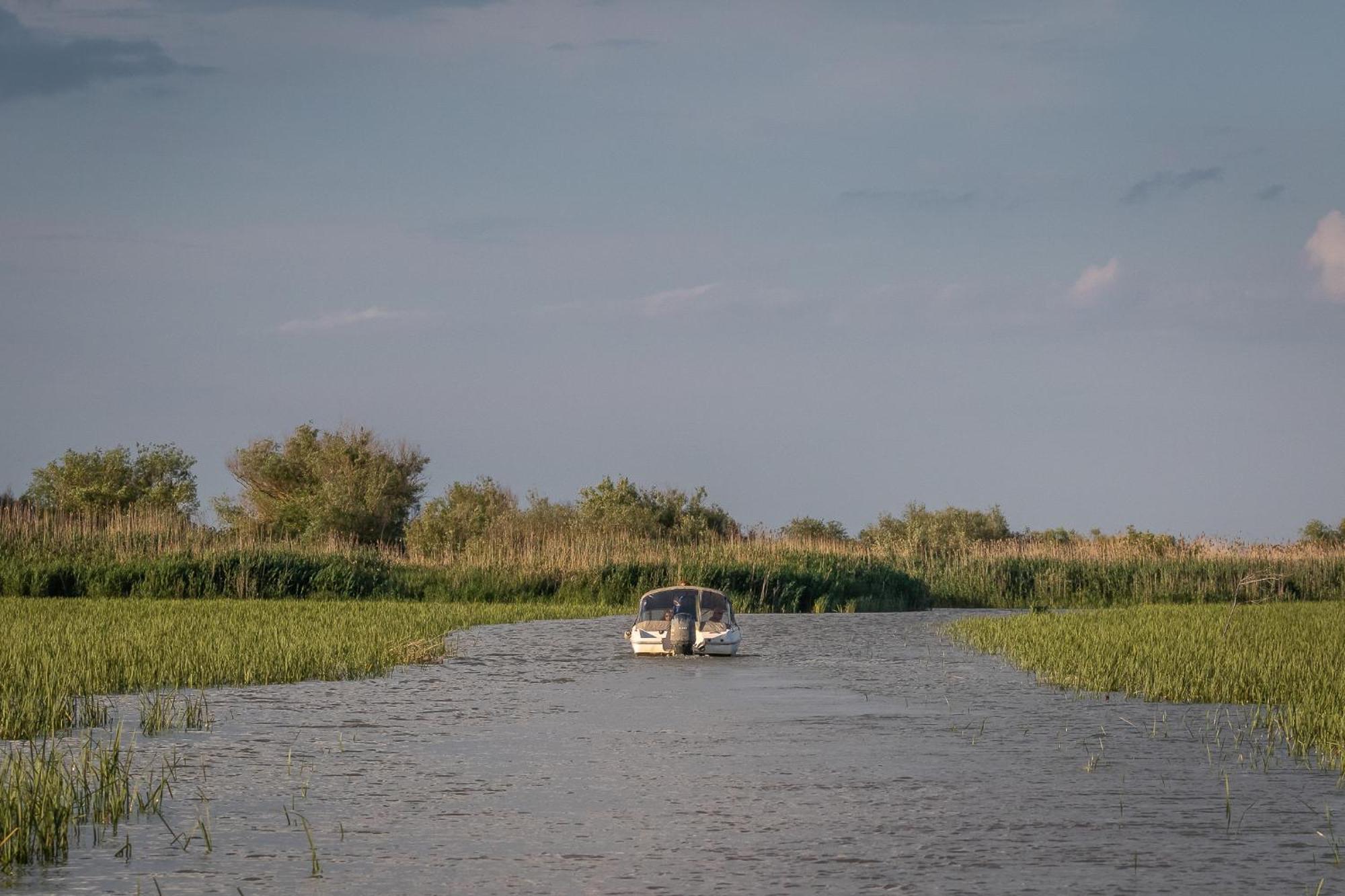 Dolphin Camping Сфынту-Георге Экстерьер фото