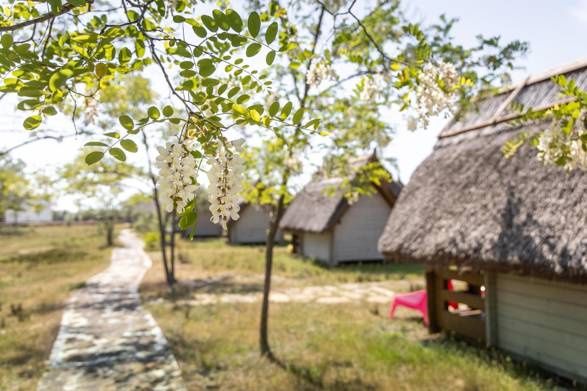Dolphin Camping Сфынту-Георге Экстерьер фото