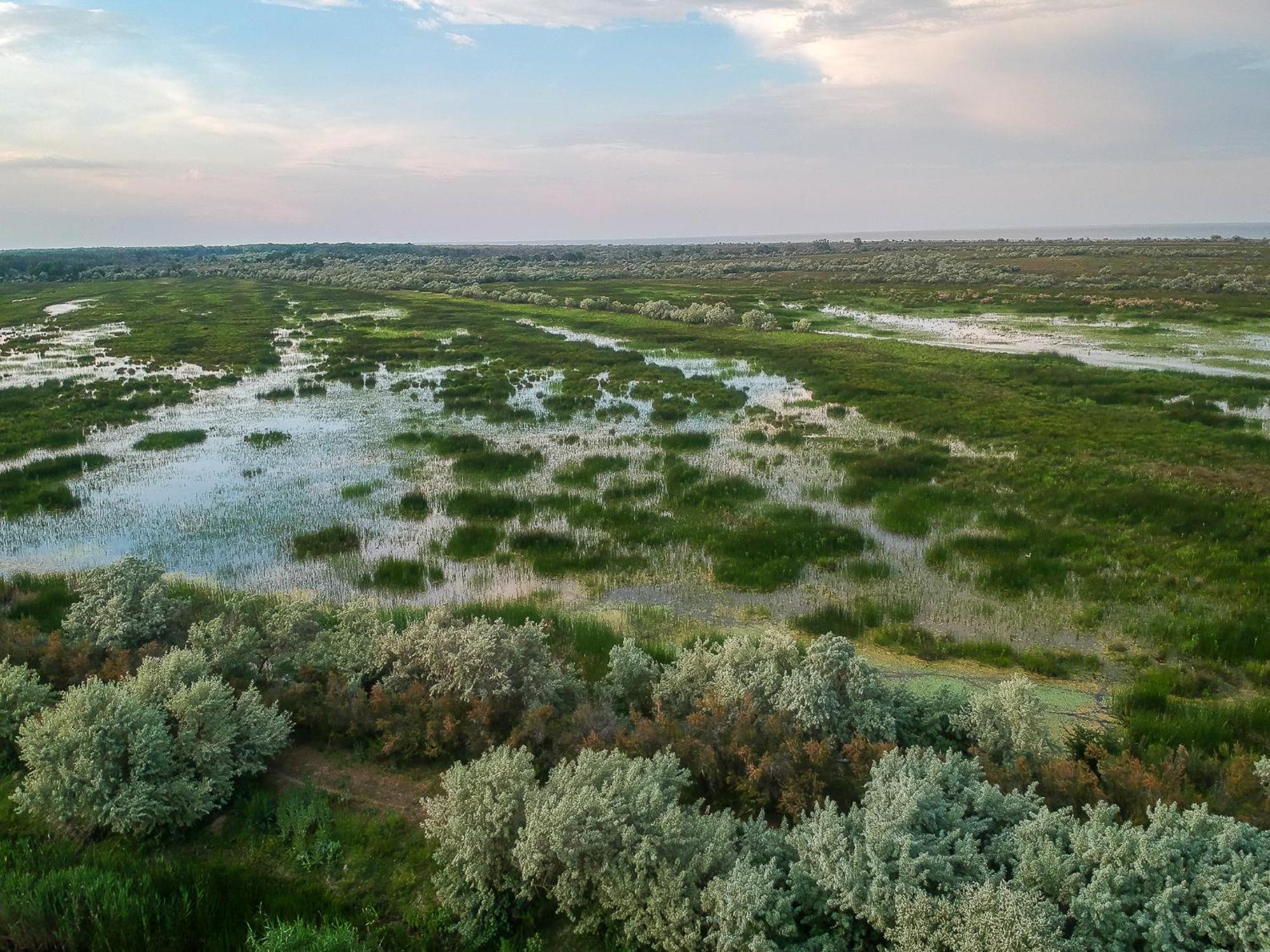 Отель Dolphin Camping Сфынту-Георге Экстерьер фото